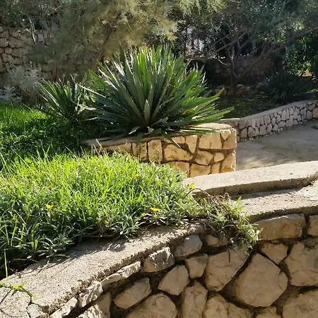 Jadranka باغ